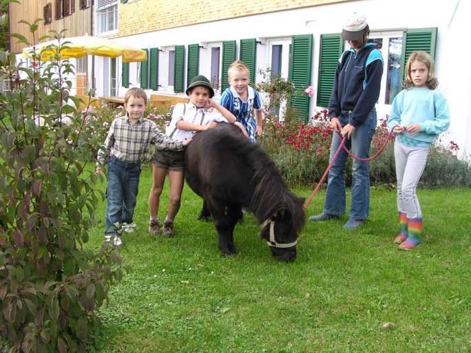 Ferienhof Duerlinde ヒッティザウ エクステリア 写真