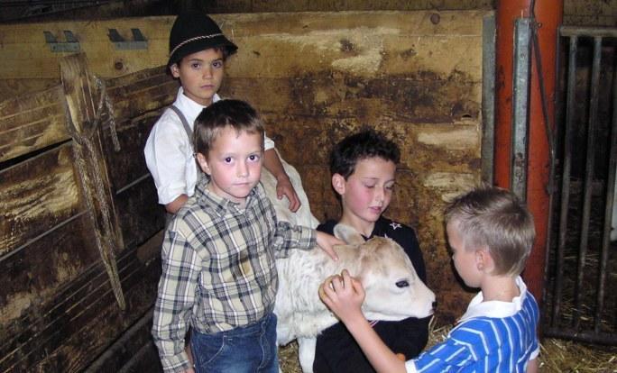 Ferienhof Duerlinde ヒッティザウ エクステリア 写真